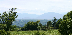 SmallView