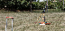 SmallCroquet