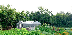 Potager