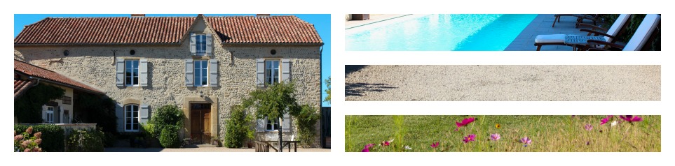 PicMonkey Collage