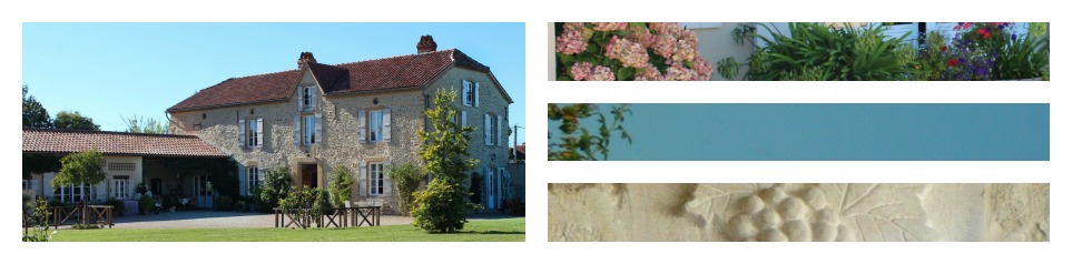 PicMonkey Collage2