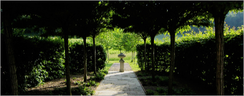CDM_Gallery-04