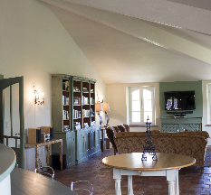 Guest Kitchen / Living Room